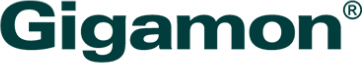 gigamon